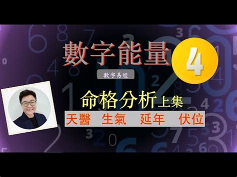 伏位命格|【伏位數字】伏位數字：破解你的磁場能量，掌握命運吉凶